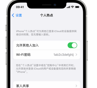 鄱阳apple服务站点分享iPhone上个人热点丢失了怎么办 