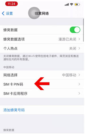 鄱阳苹果14维修网分享如何给iPhone14的SIM卡设置密码 