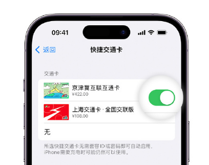 鄱阳apple维修点分享iPhone上更换Apple Pay快捷交通卡手绘卡面 