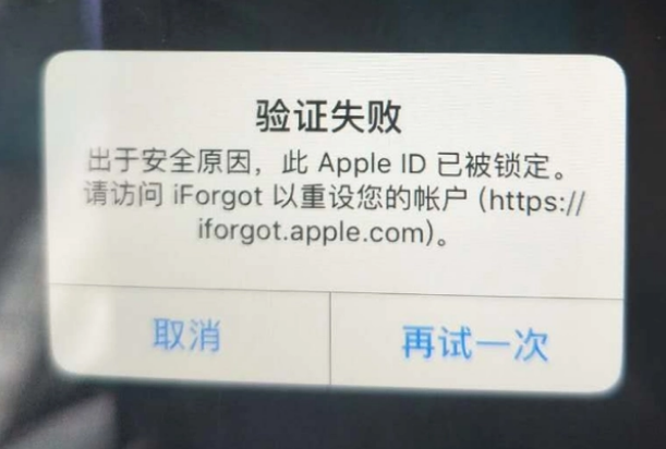 鄱阳iPhone维修分享iPhone上正常登录或使用AppleID怎么办 