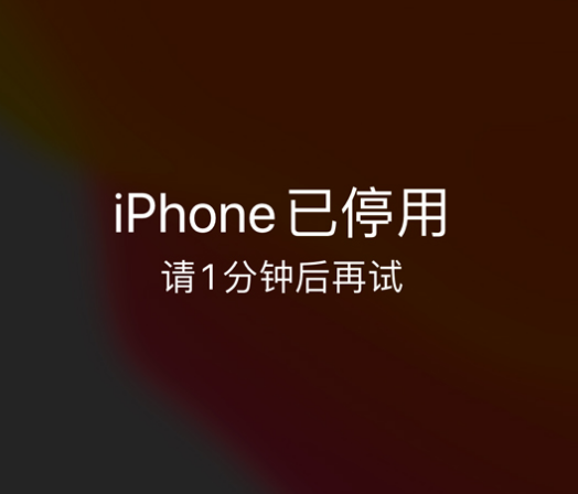 鄱阳苹果手机维修分享:iPhone 显示“不可用”或“已停用”怎么办？还能保留数据吗？ 