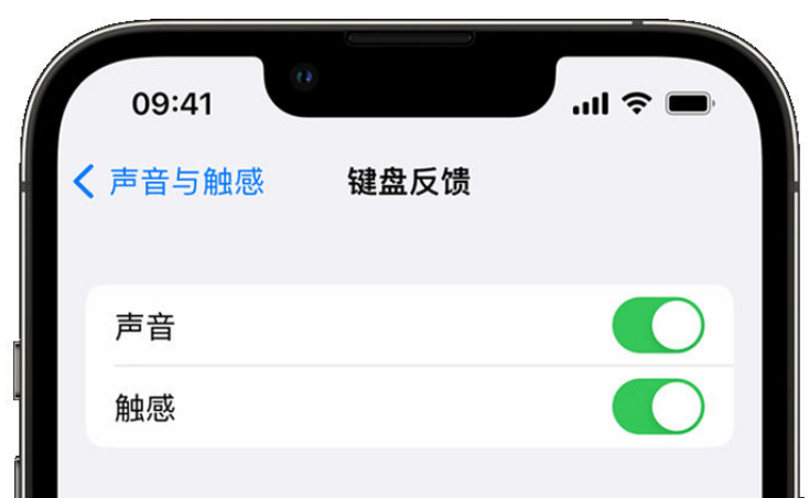 鄱阳苹果手机维修分享iPhone 14触感键盘使用方法 