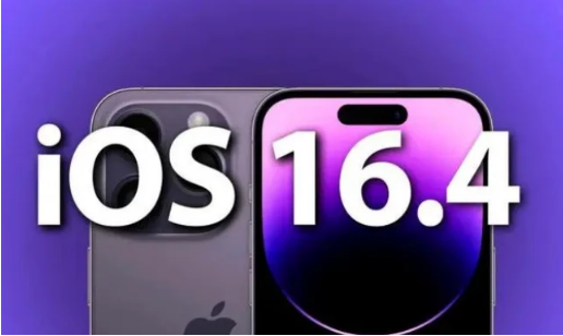 鄱阳苹果14维修分享：iPhone14可以升级iOS16.4beta2吗？ 