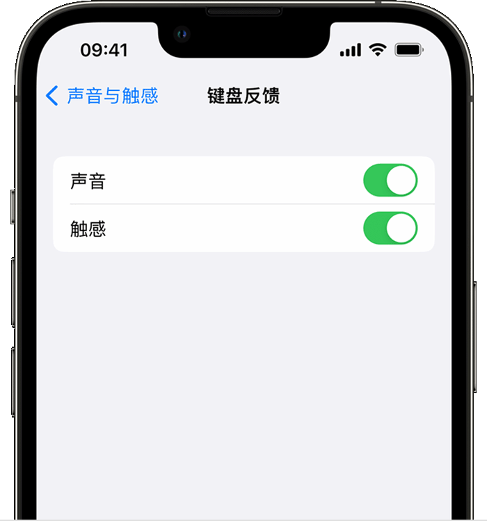 鄱阳苹果14维修店分享如何在 iPhone 14 机型中使用触感键盘 