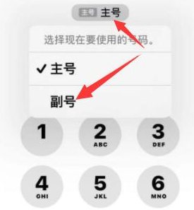 鄱阳苹果14维修店分享iPhone 14 Pro Max使用副卡打电话的方法 