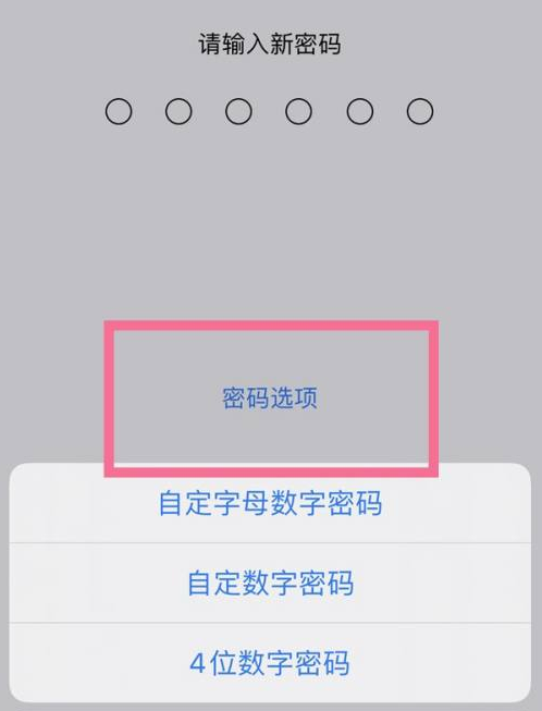 鄱阳苹果14维修分享iPhone 14plus设置密码的方法 