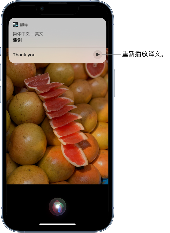 鄱阳苹果14维修分享 iPhone 14 机型中使用 Siri：了解 Siri 能帮你做什么 