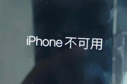 鄱阳苹果服务网点分享锁屏界面显示“iPhone 不可用”如何解决 