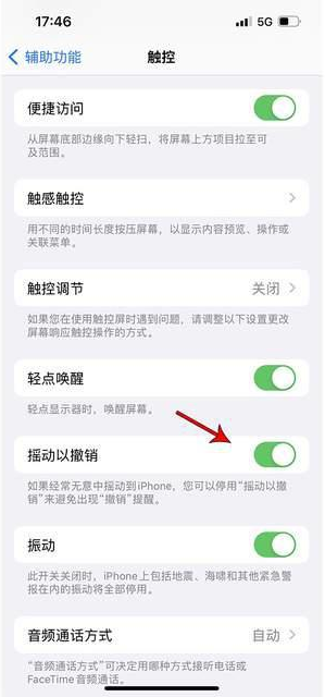 鄱阳苹果手机维修分享iPhone手机如何设置摇一摇删除文字 