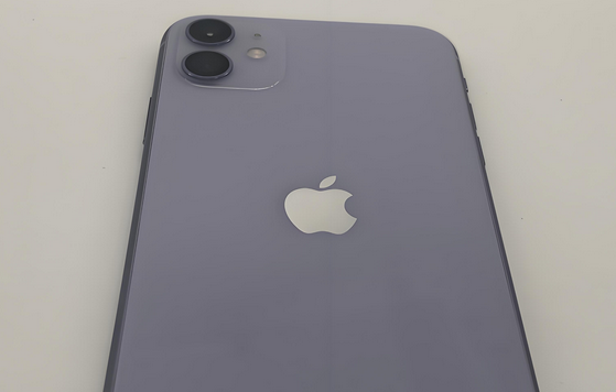 鄱阳苹果11系统维修分享iPhone11手机系统崩溃无法开机如何解决 