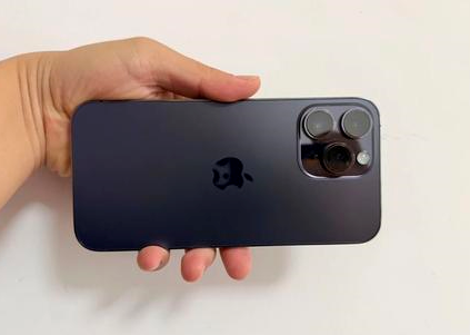 鄱阳苹果维修点分享iPhone 14 Pro Max黑屏少见故障盘点 